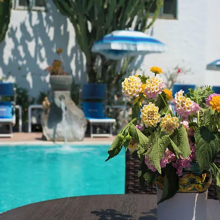 In Bb - Forio With A Breathtaking View, For 2 Persons * Ischia